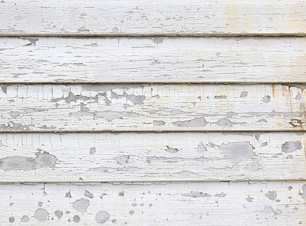 Best Engineered Wood Siding  in Parsippany, NJ